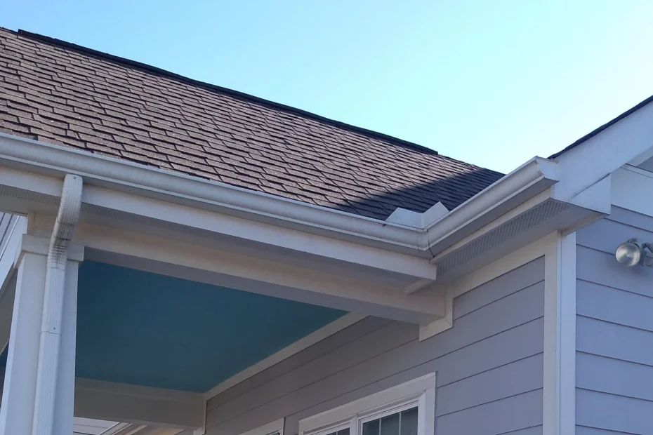 Hillsboro Gutter Cleaning